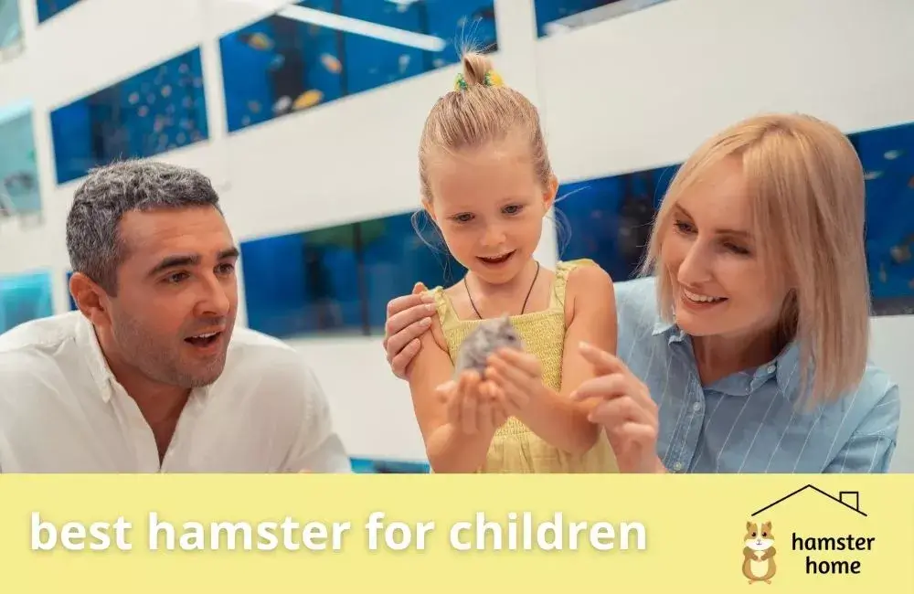 The Complete Guide to Hamsters and Which One is Best for Your Child
