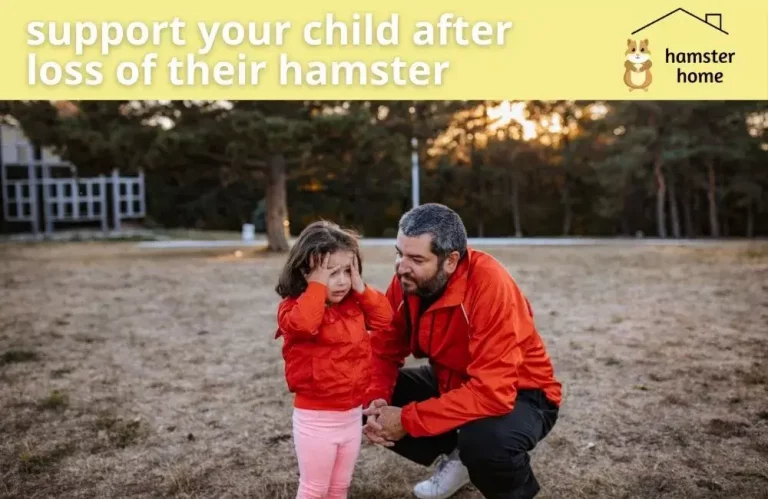 Support A Child After The Loss Of Hamster