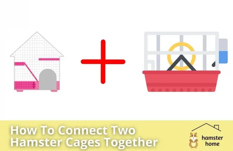 How To Connect Two Hamster Cages Together?
