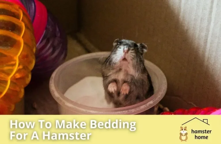 How To Make Bedding For A Hamster?