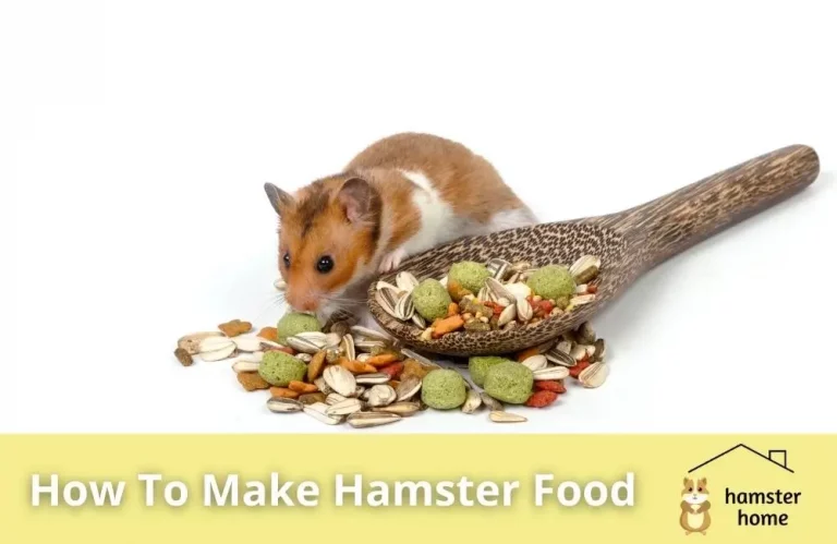 How To Make Hamster Food