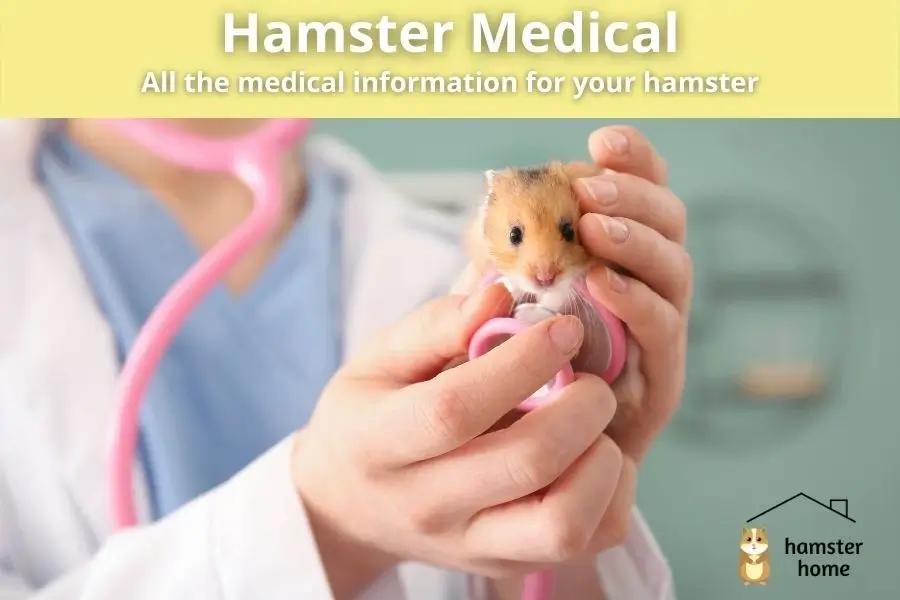 Hamster Medical - All The Medical Information For Your Hamster